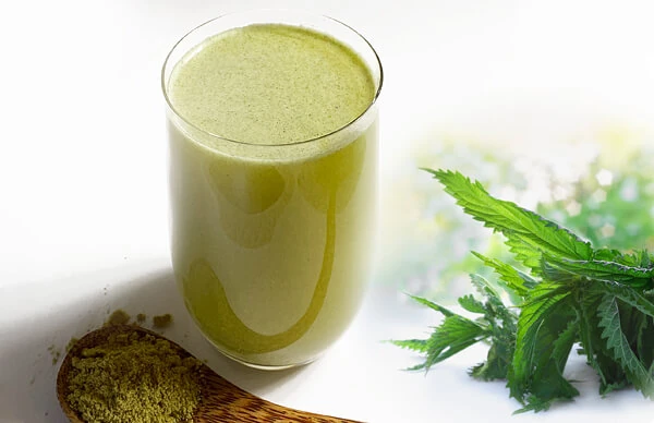 FitLine D-Drink im Shop kaufen FitLine D-Drink kaufen